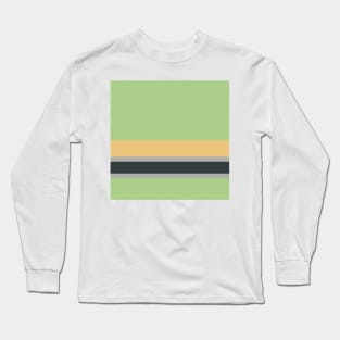 An elegant melt of Silver Foil, Charcoal, Slate Green, Laurel Green and Sand stripes. Long Sleeve T-Shirt